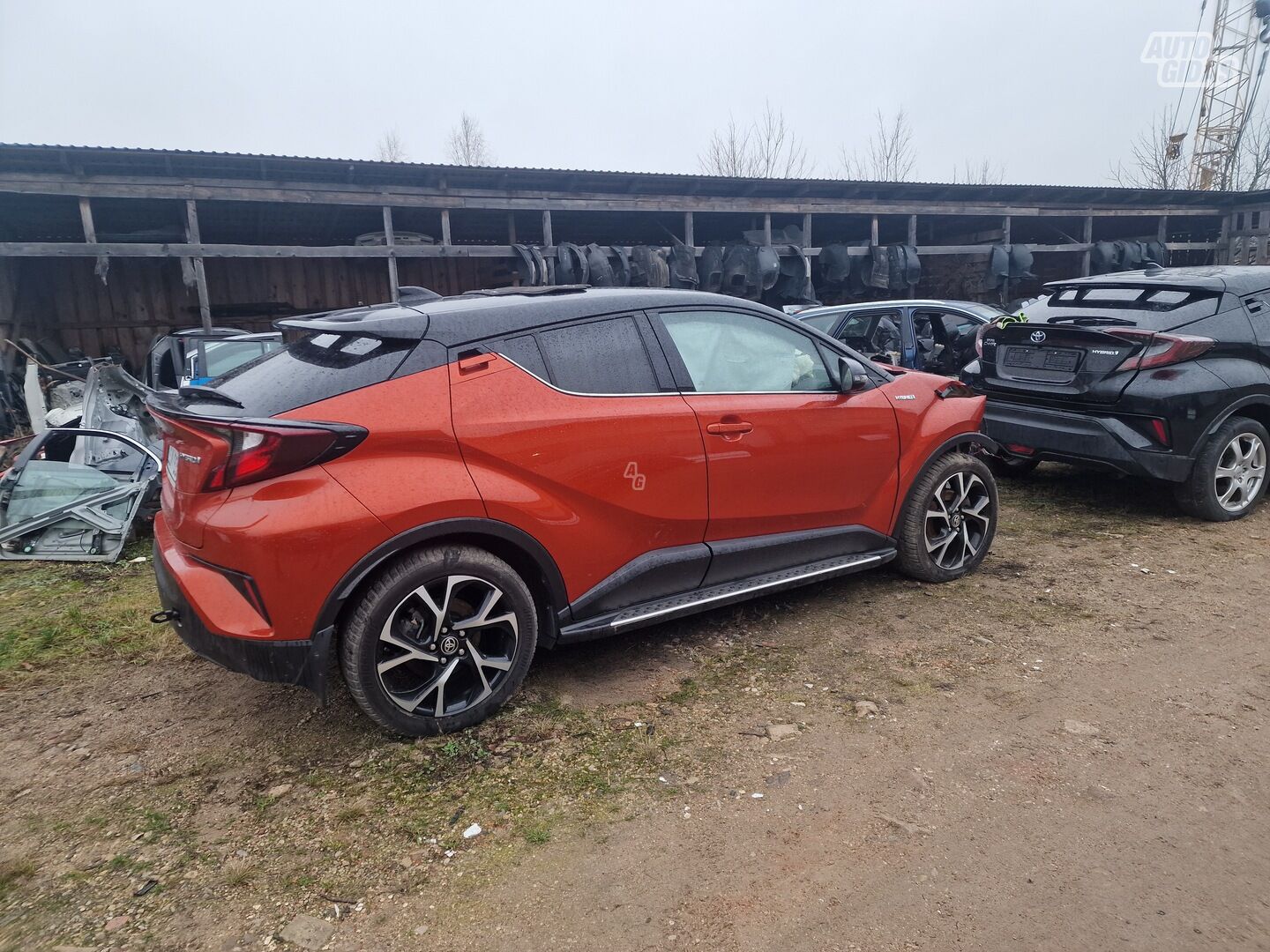 Toyota C-Hr 2021 m dalys