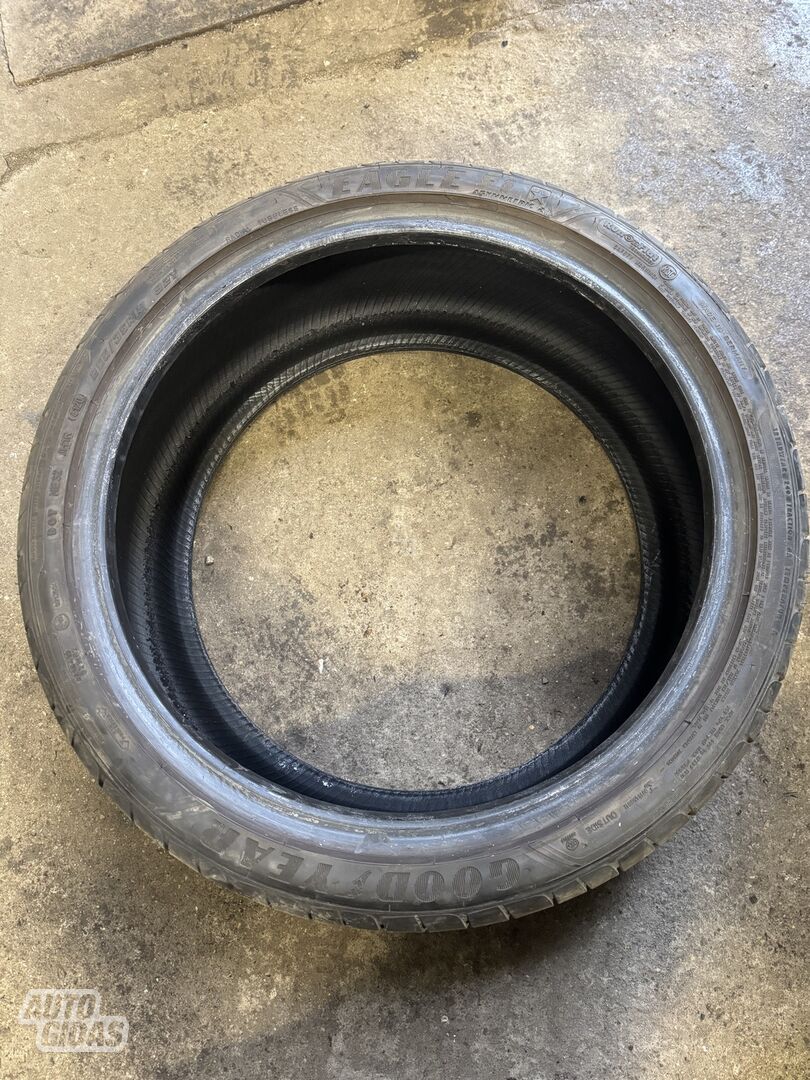 Goodyear  F1 R19 vasarinės padangos lengviesiems