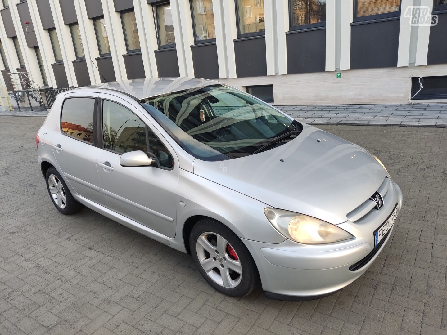 Peugeot 307 2005 m Hečbekas