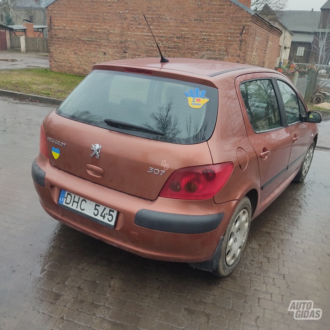 Peugeot 307 2001 m Hečbekas