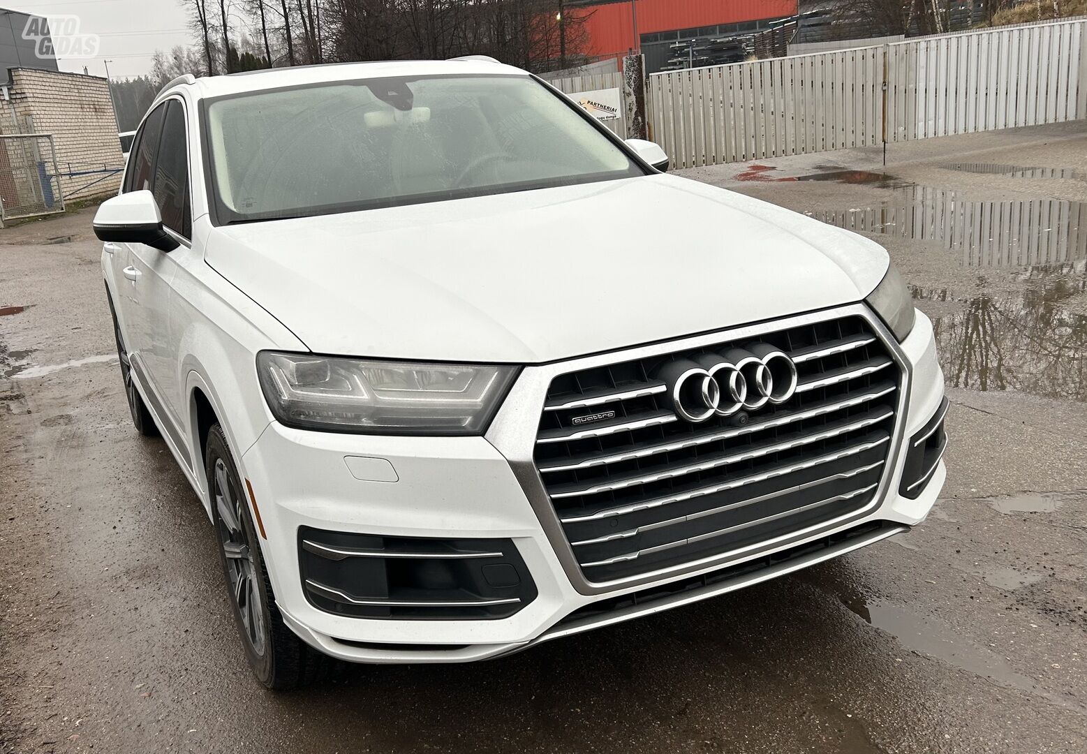 Audi Q7 2017 m Visureigis / Krosoveris