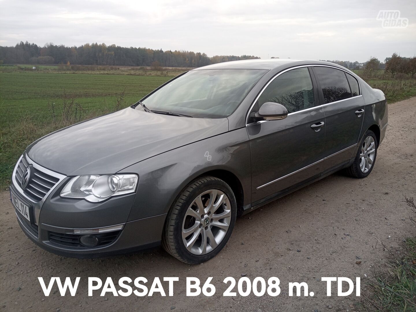 Volkswagen Passat 2005 y Sedan