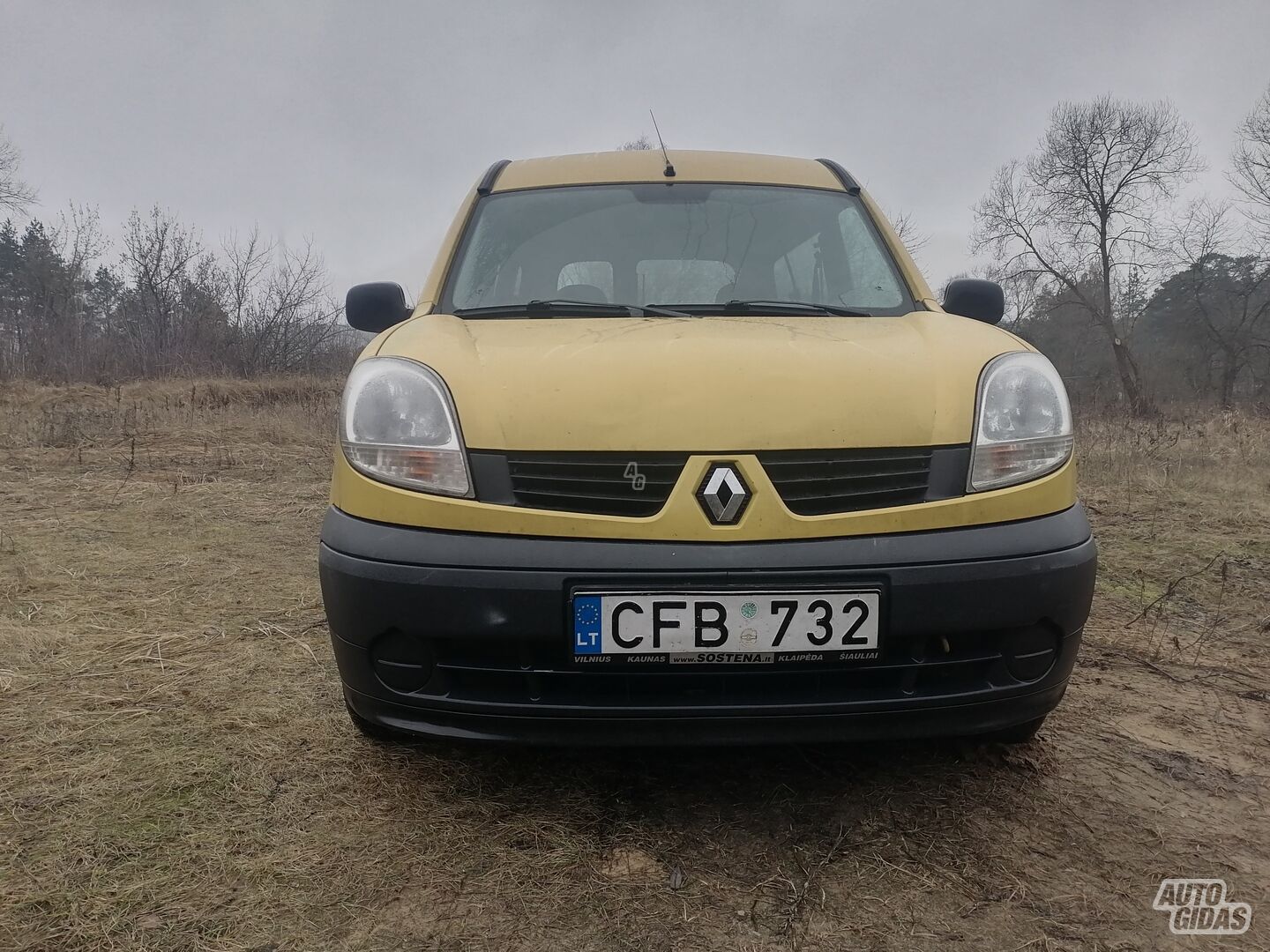 Renault Kangoo 2006 г Фургон