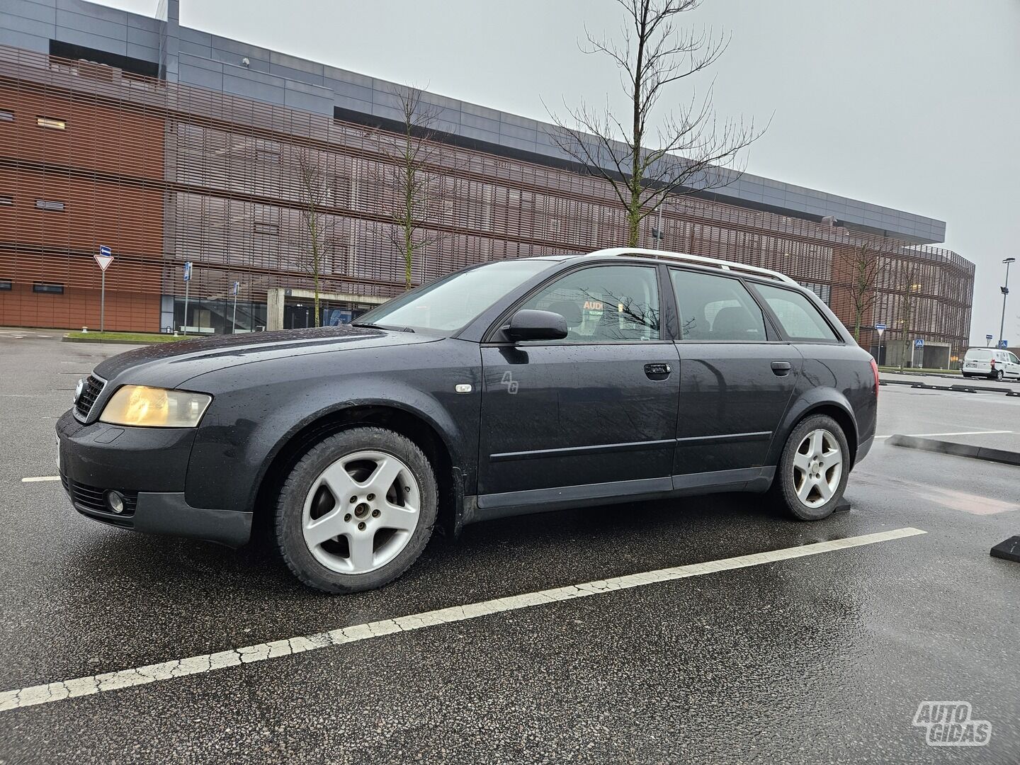 Audi A4 2002 m Universalas