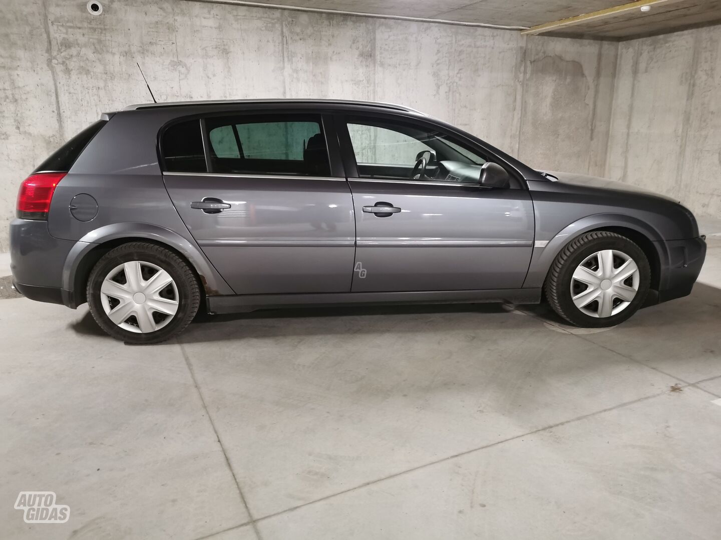 Opel Signum 2005 m Hečbekas