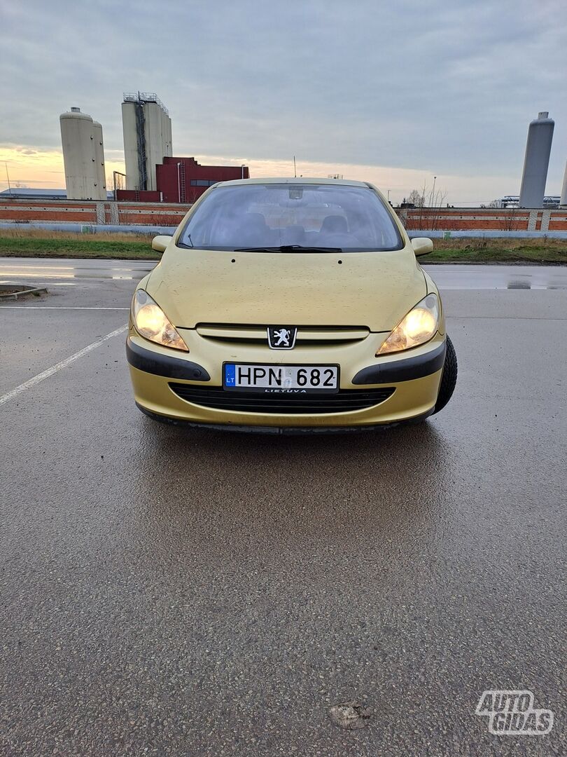 Peugeot 307 2003 m Hečbekas