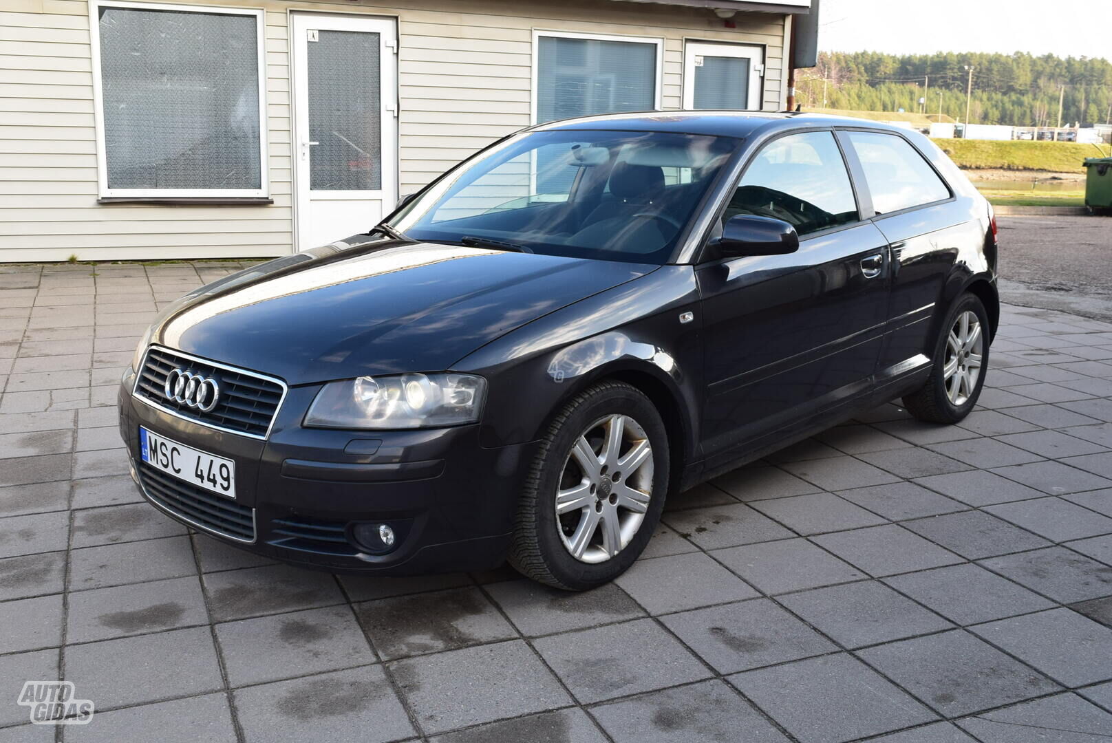 Audi A3 2005 m Hečbekas