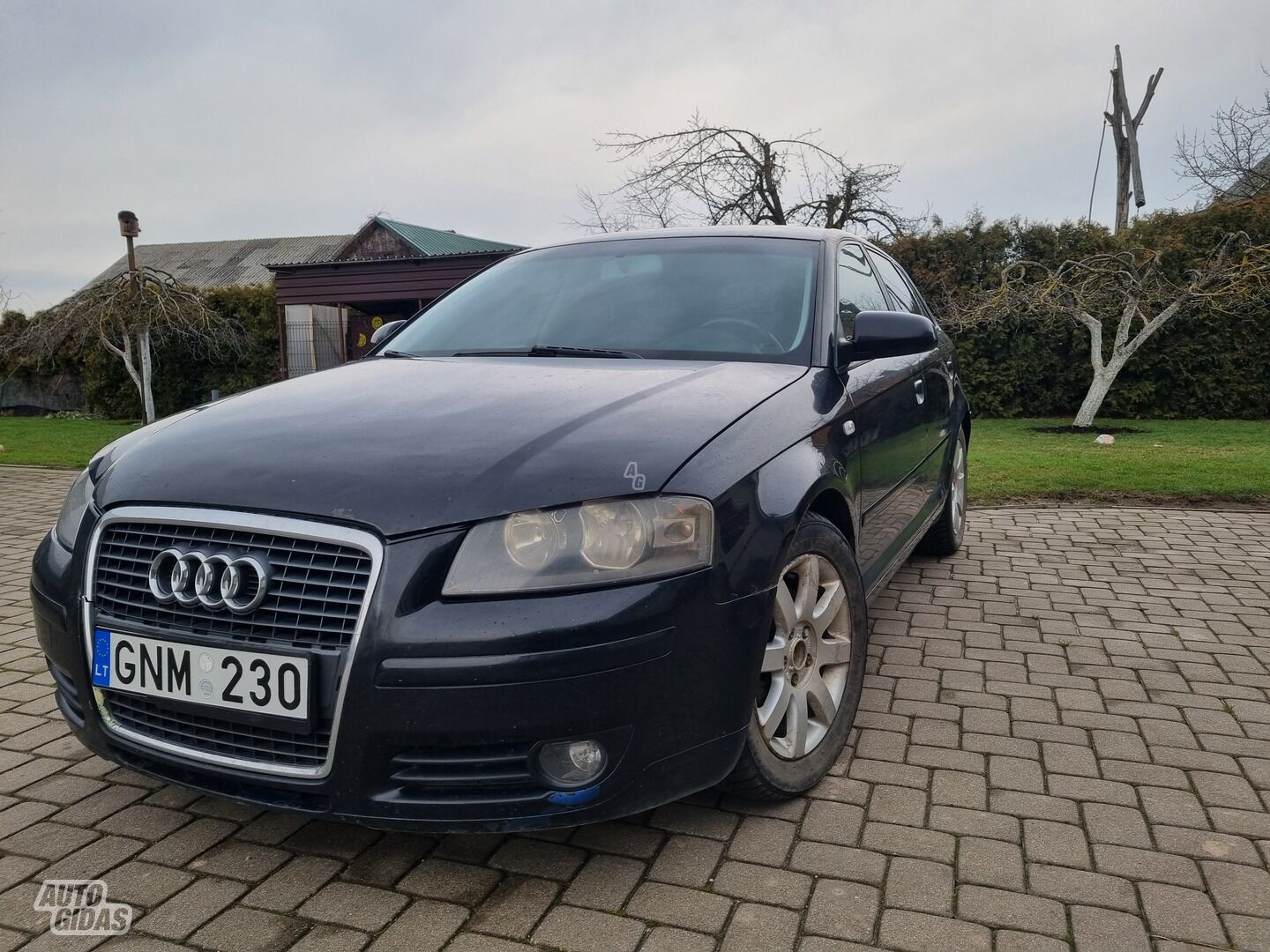 Audi A3 2006 m Hečbekas