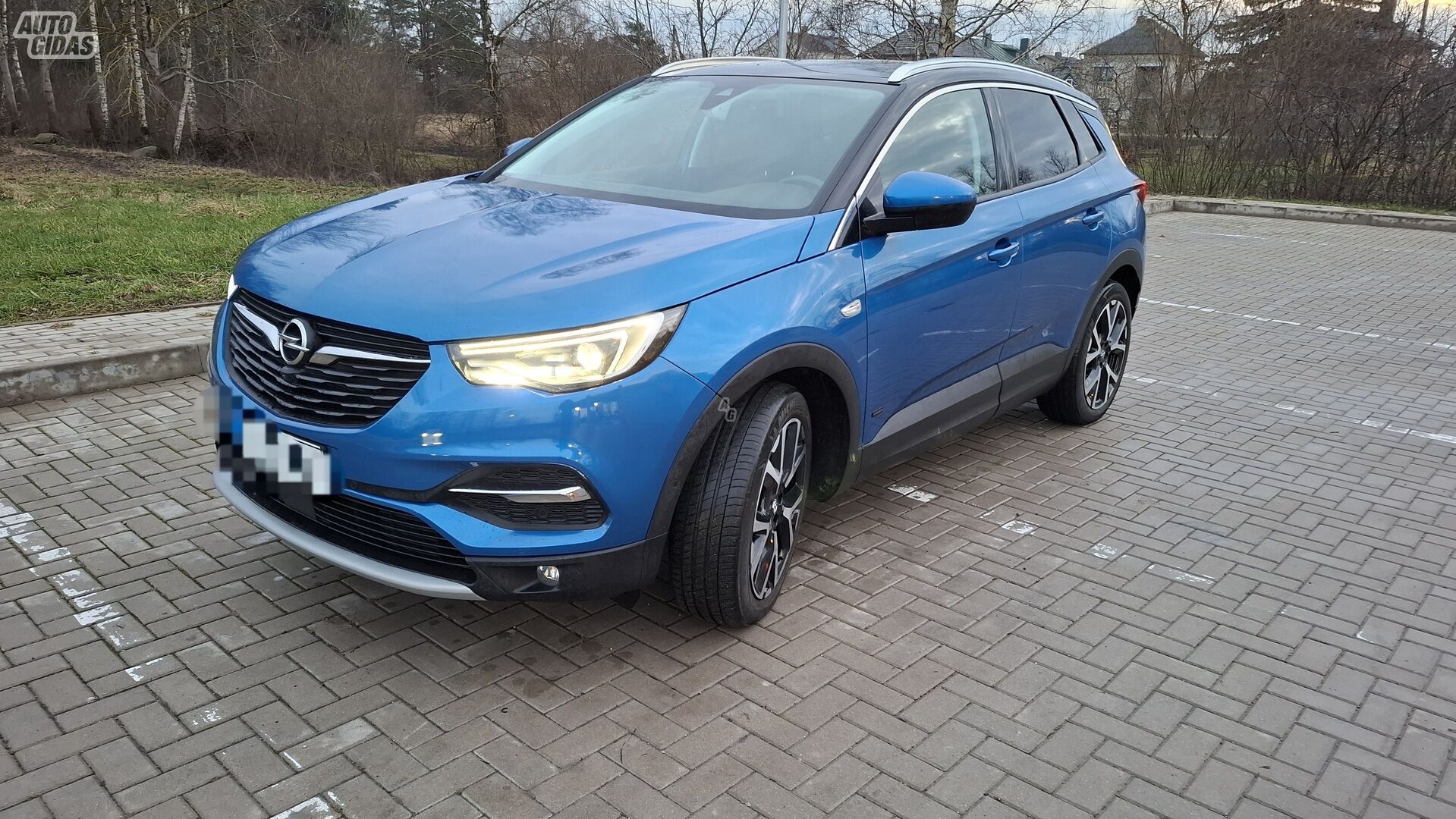 Opel Grandland X 2020 y Off-road / Crossover