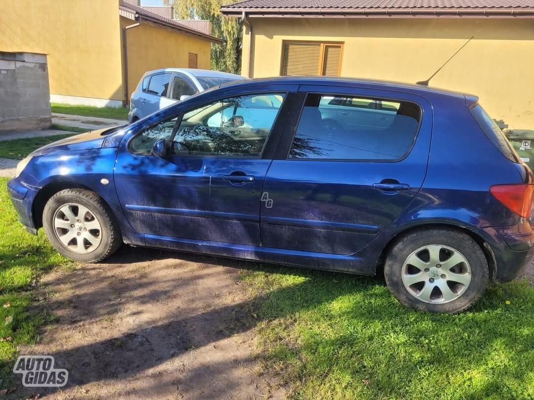 Peugeot 307 2004 m Hečbekas