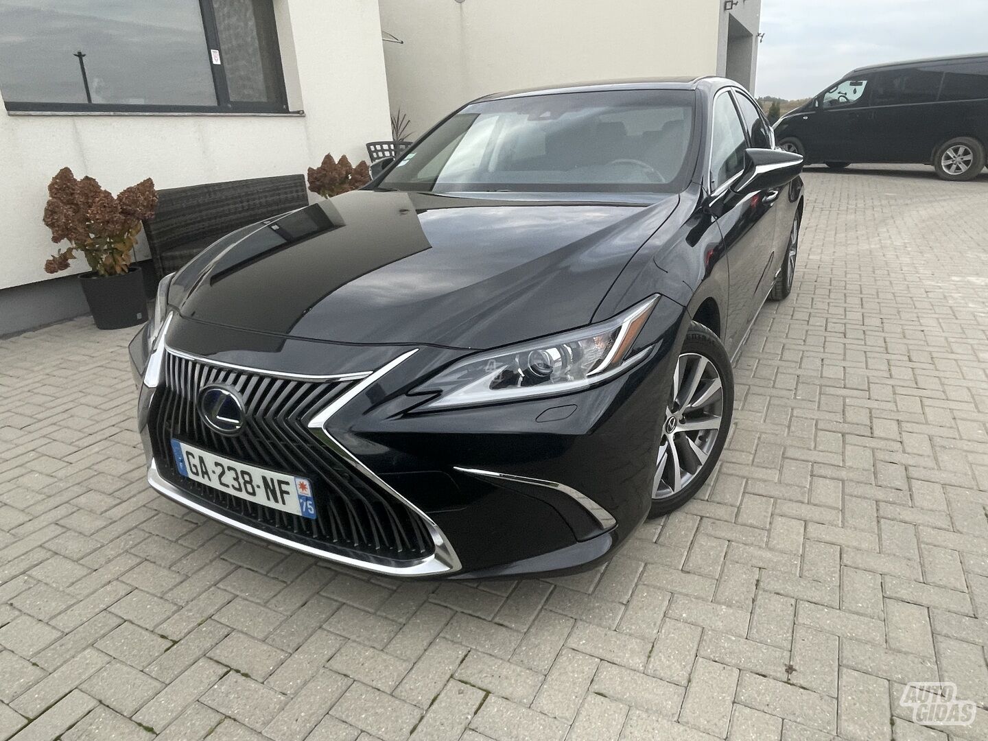 Lexus ES 300h 2021 m Sedanas