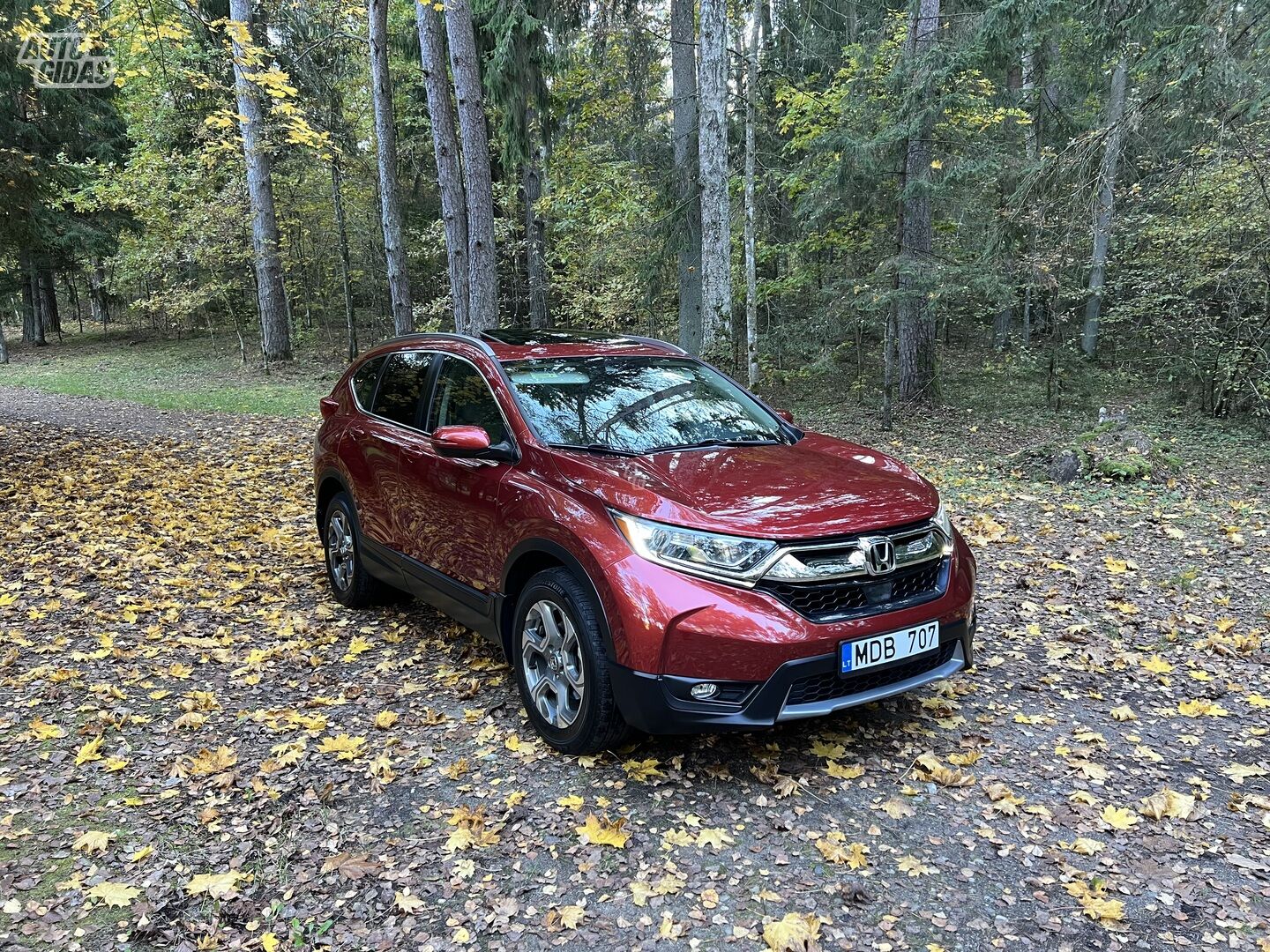 Honda CR-V 2019 m Visureigis / Krosoveris