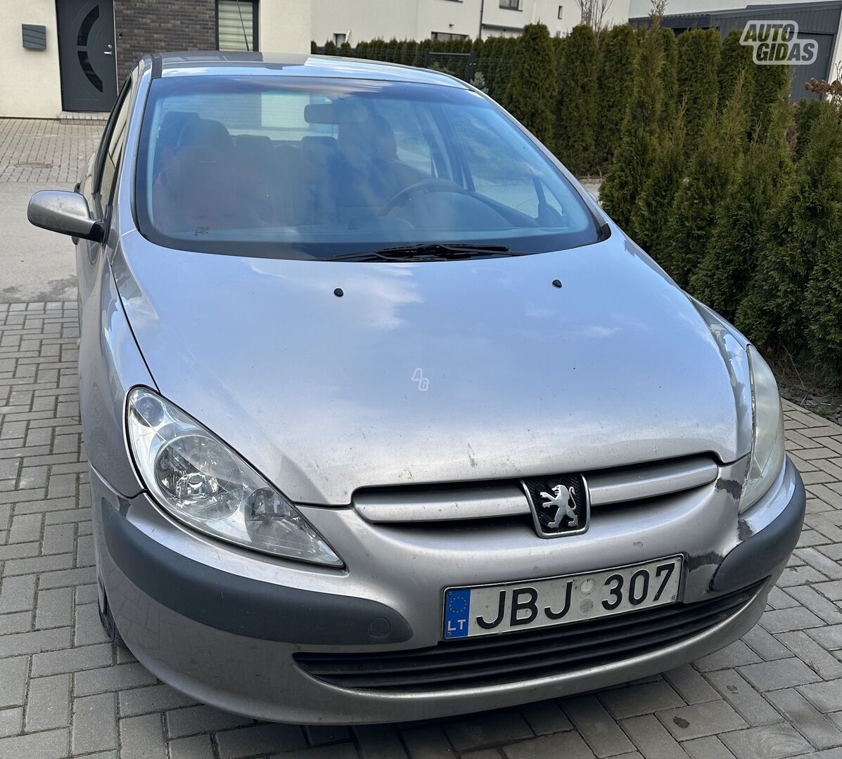 Peugeot 307 2001 m Hečbekas