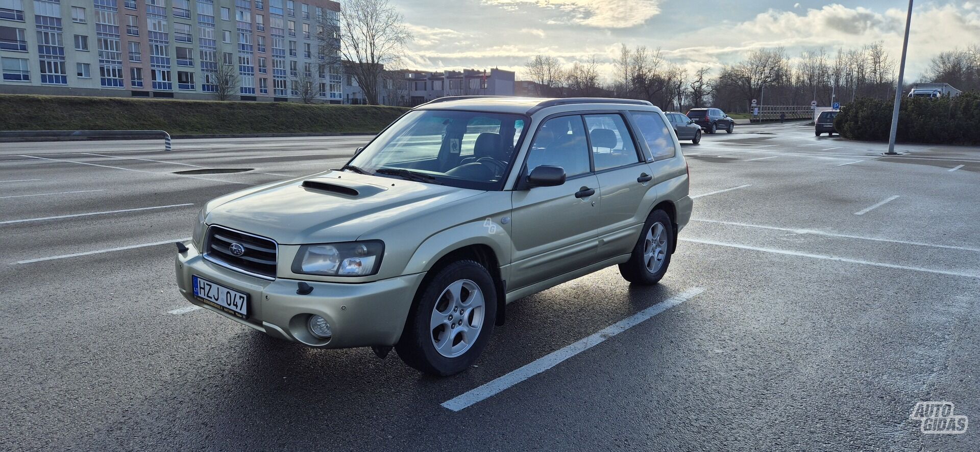 Subaru Forester 2003 m Visureigis / Krosoveris