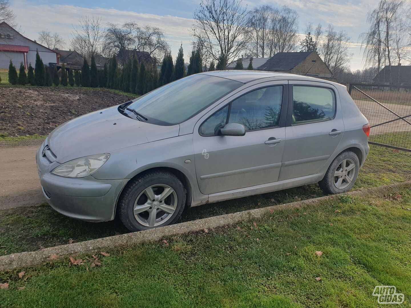 Peugeot 307 2003 г Хэтчбек