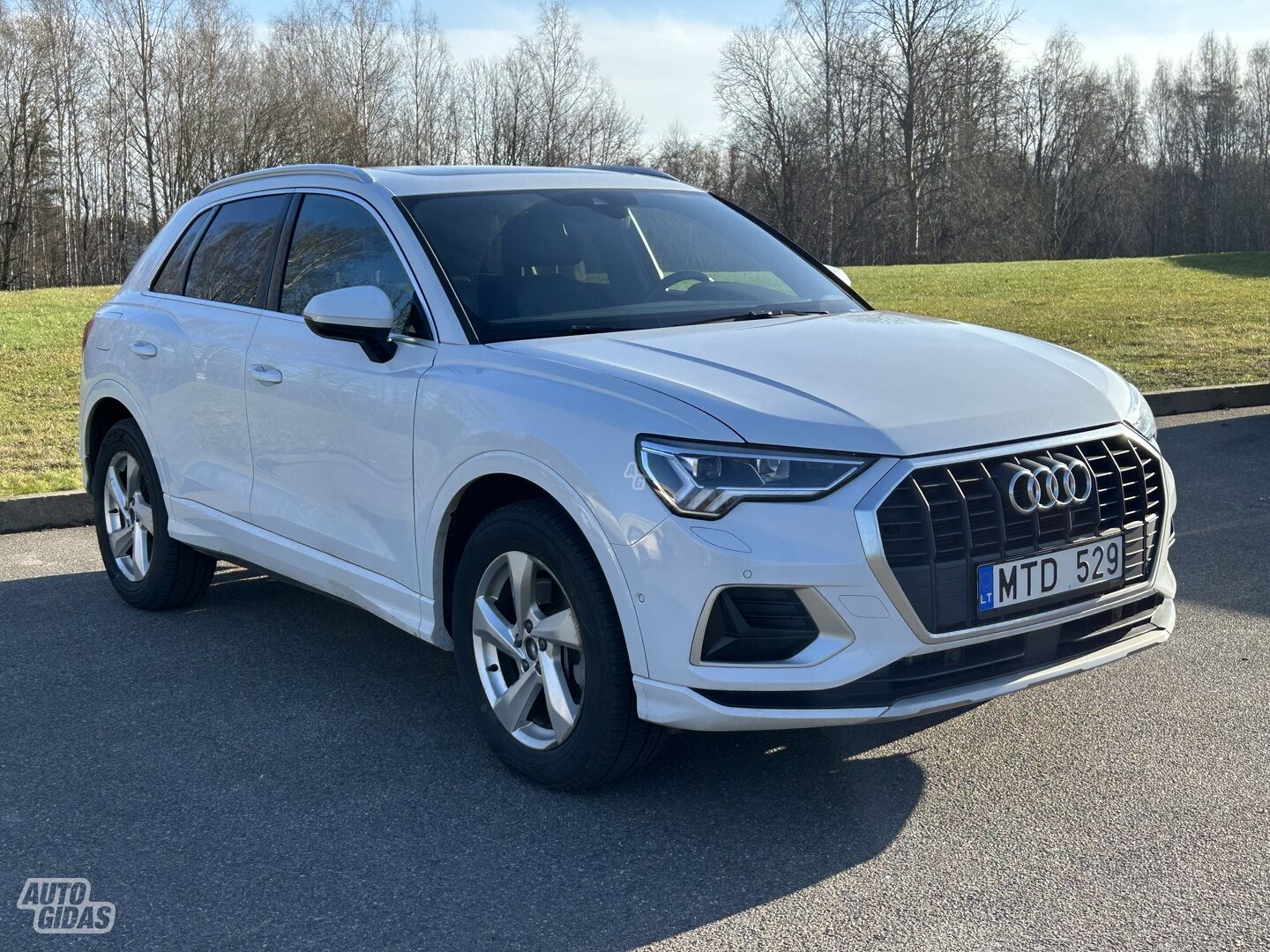 Audi Q3 2019 y Off-road / Crossover