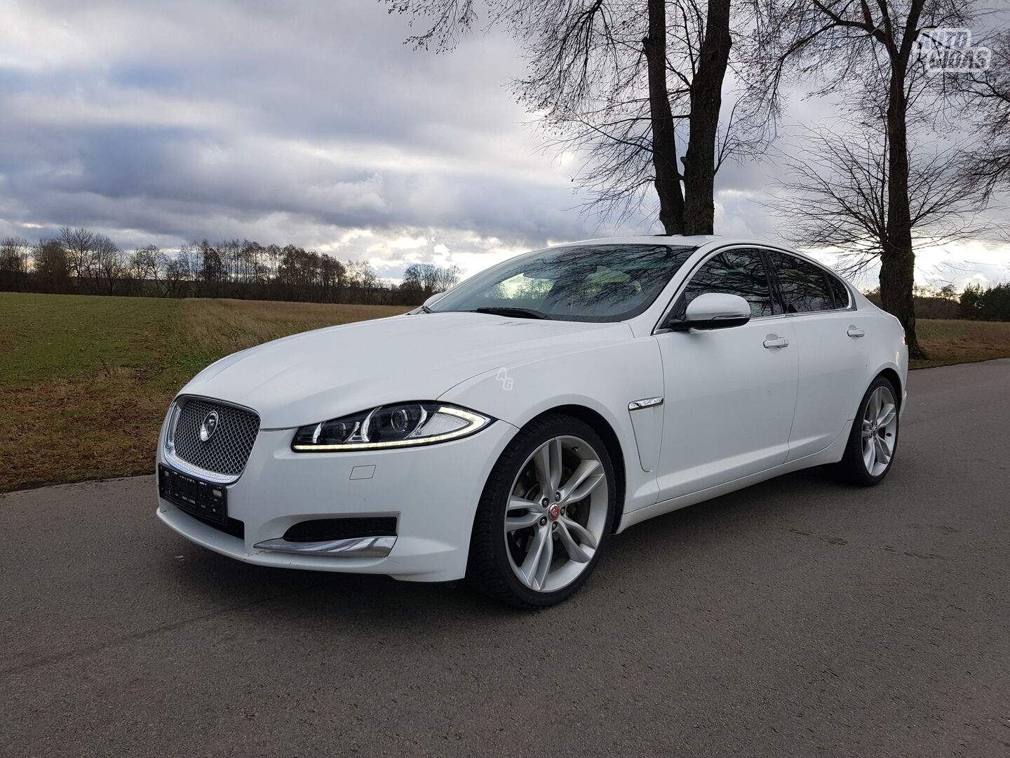 Jaguar XF 2012 y Sedan