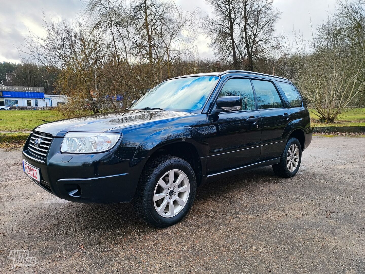 Subaru Forester 2005 m Visureigis / Krosoveris