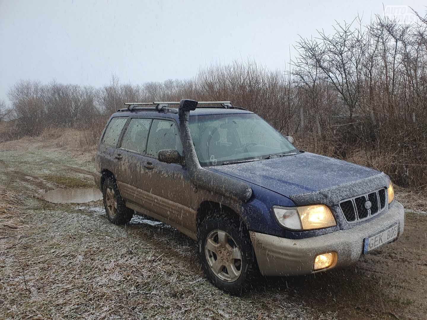 Subaru Forester 2002 y Off-road / Crossover