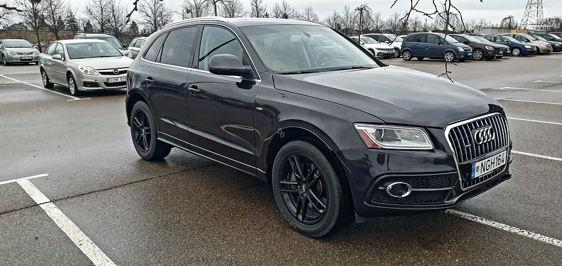 Audi Q5 2014 m Visureigis / Krosoveris