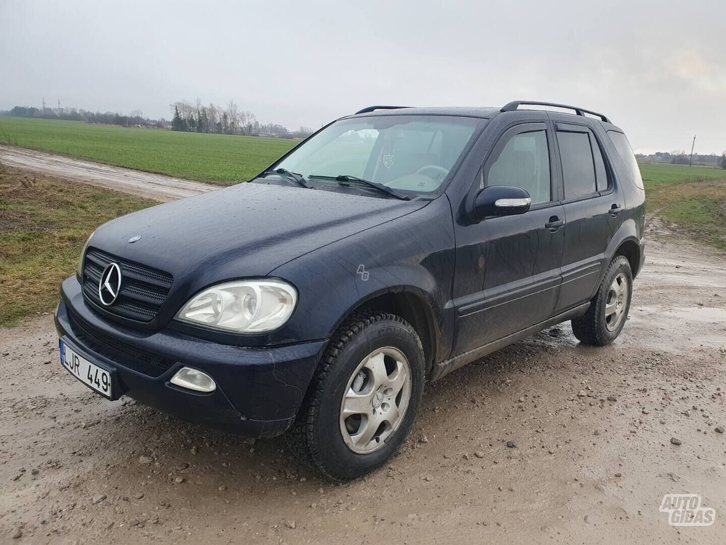 Mercedes-Benz ML 270 2005 г Внедорожник / Кроссовер