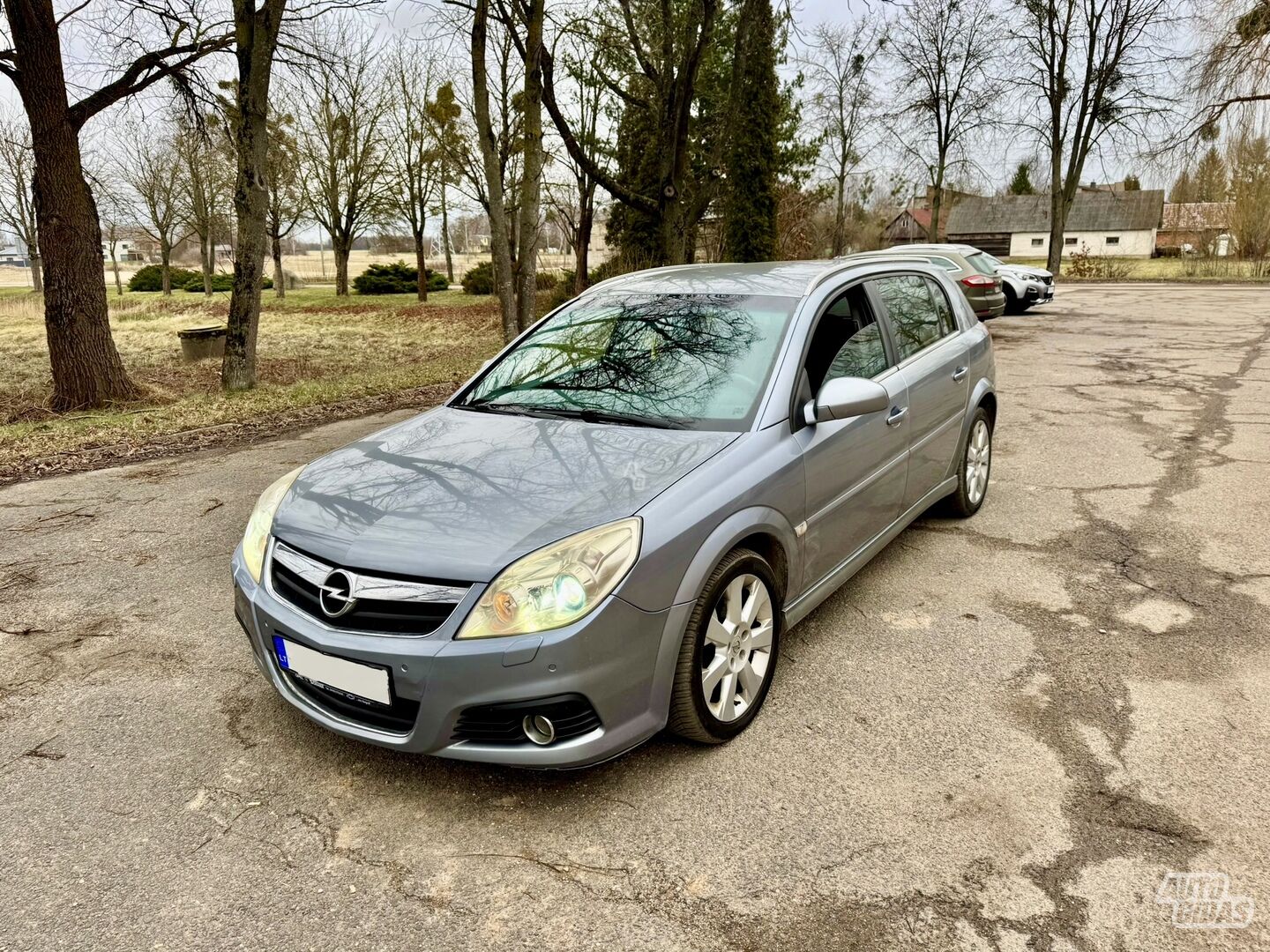 Opel Signum 2006 m Hečbekas