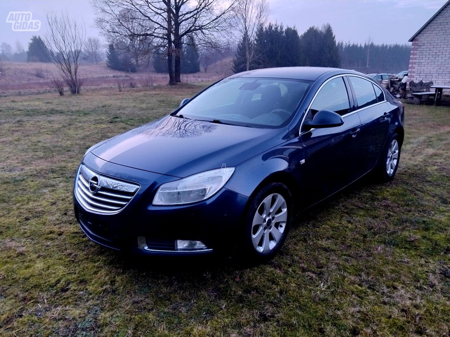 Opel Insignia 2010 y Hatchback