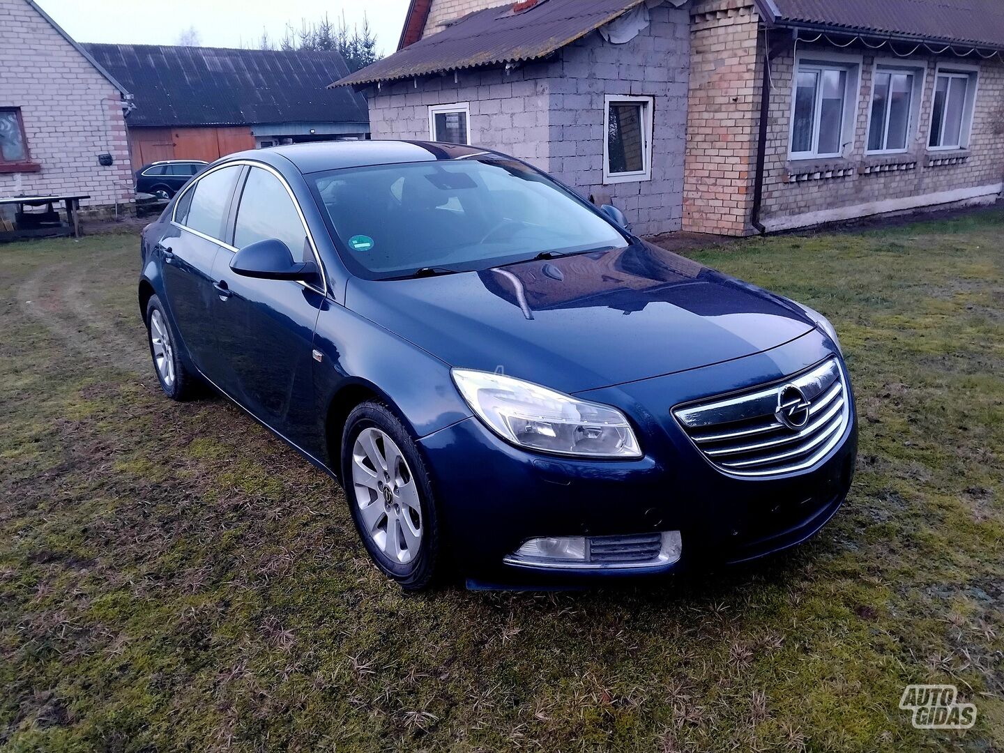 Opel Insignia 2010 y Hatchback