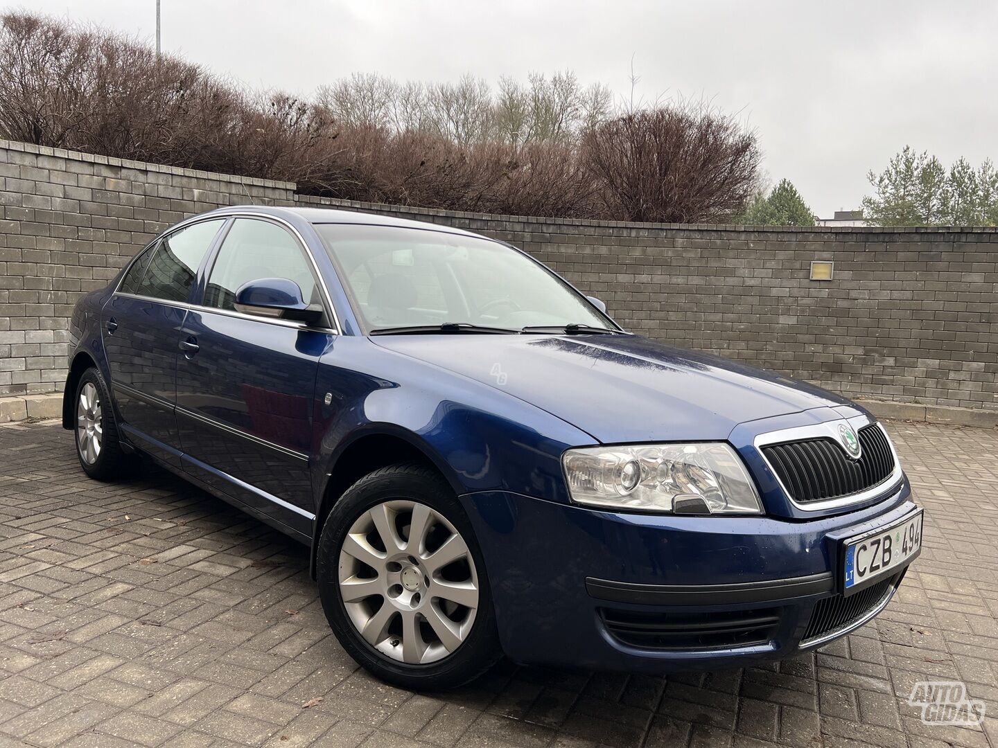 Skoda Superb TDI 2007 г