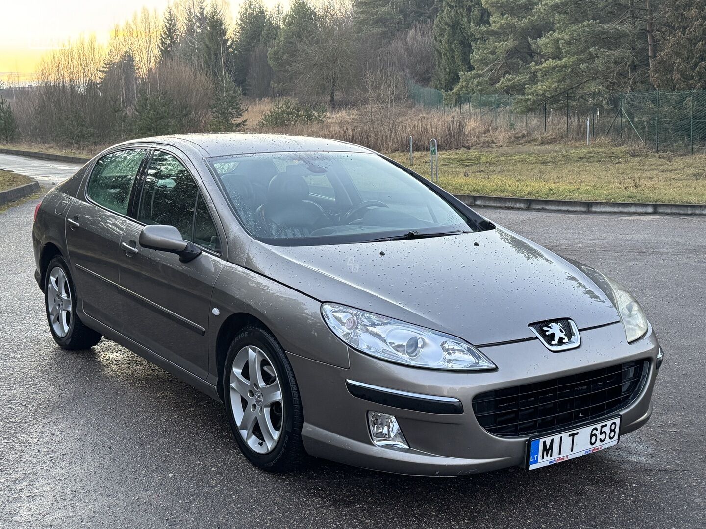 Peugeot 407 2004 m Sedanas