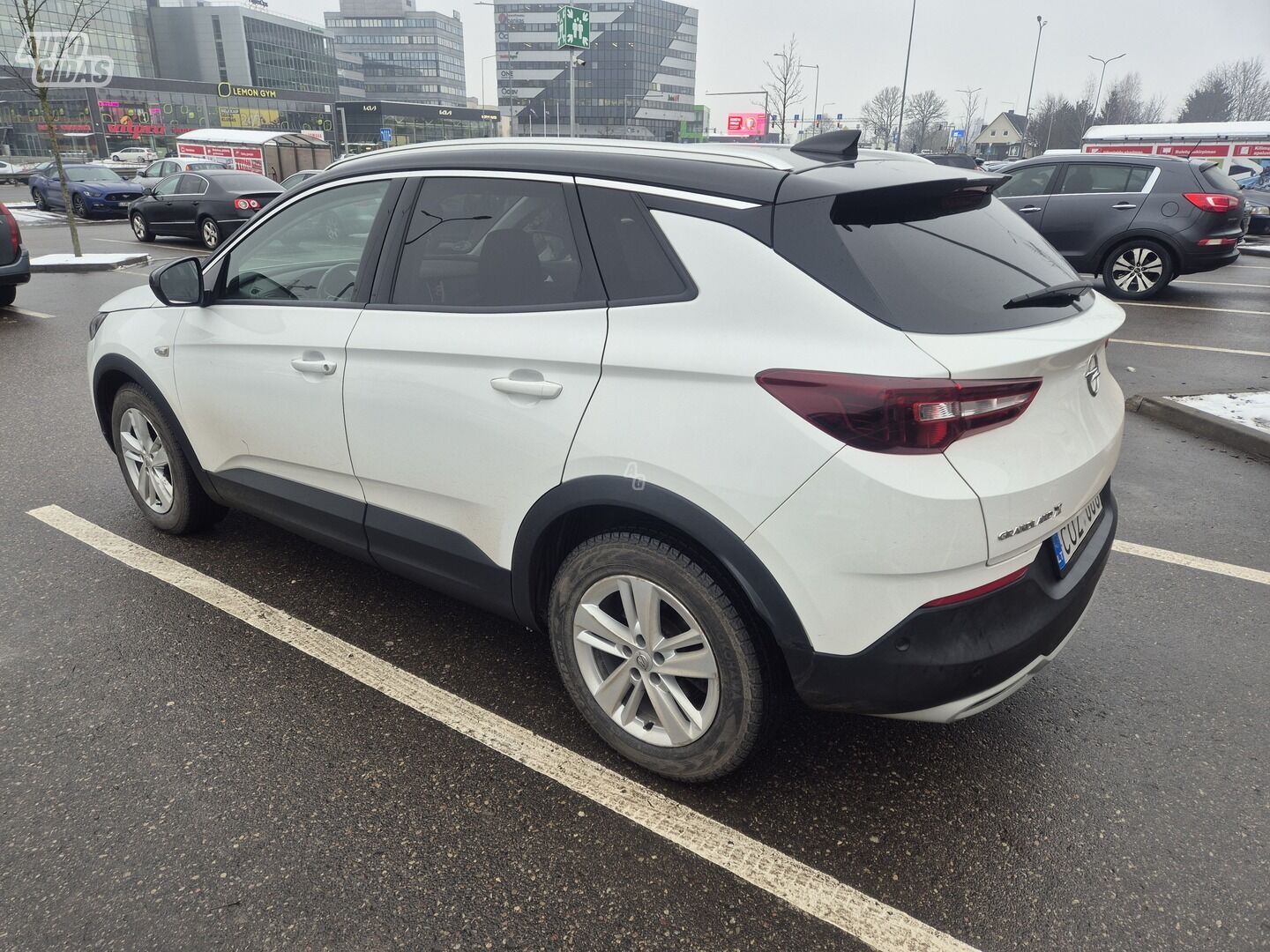 Opel Grandland X 2018 m Visureigis / Krosoveris