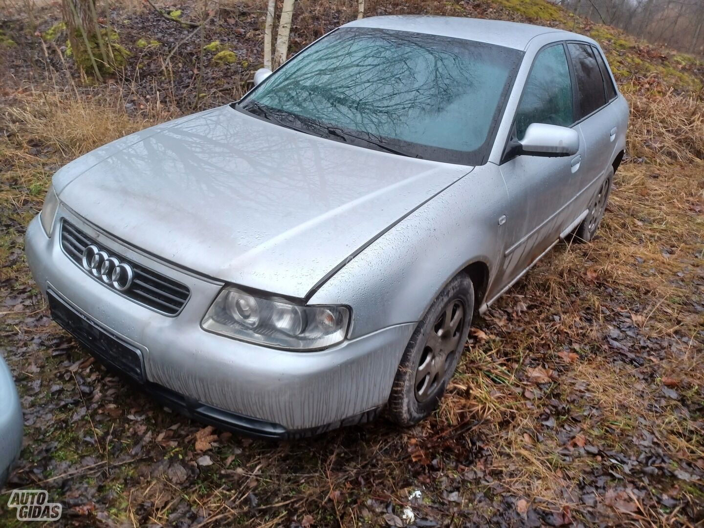 Audi A3 2002 m dalys