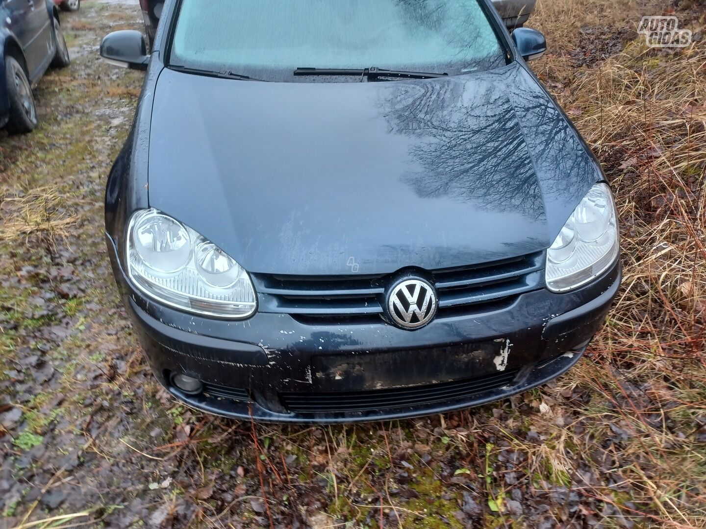 Volkswagen Golf 2005 m dalys