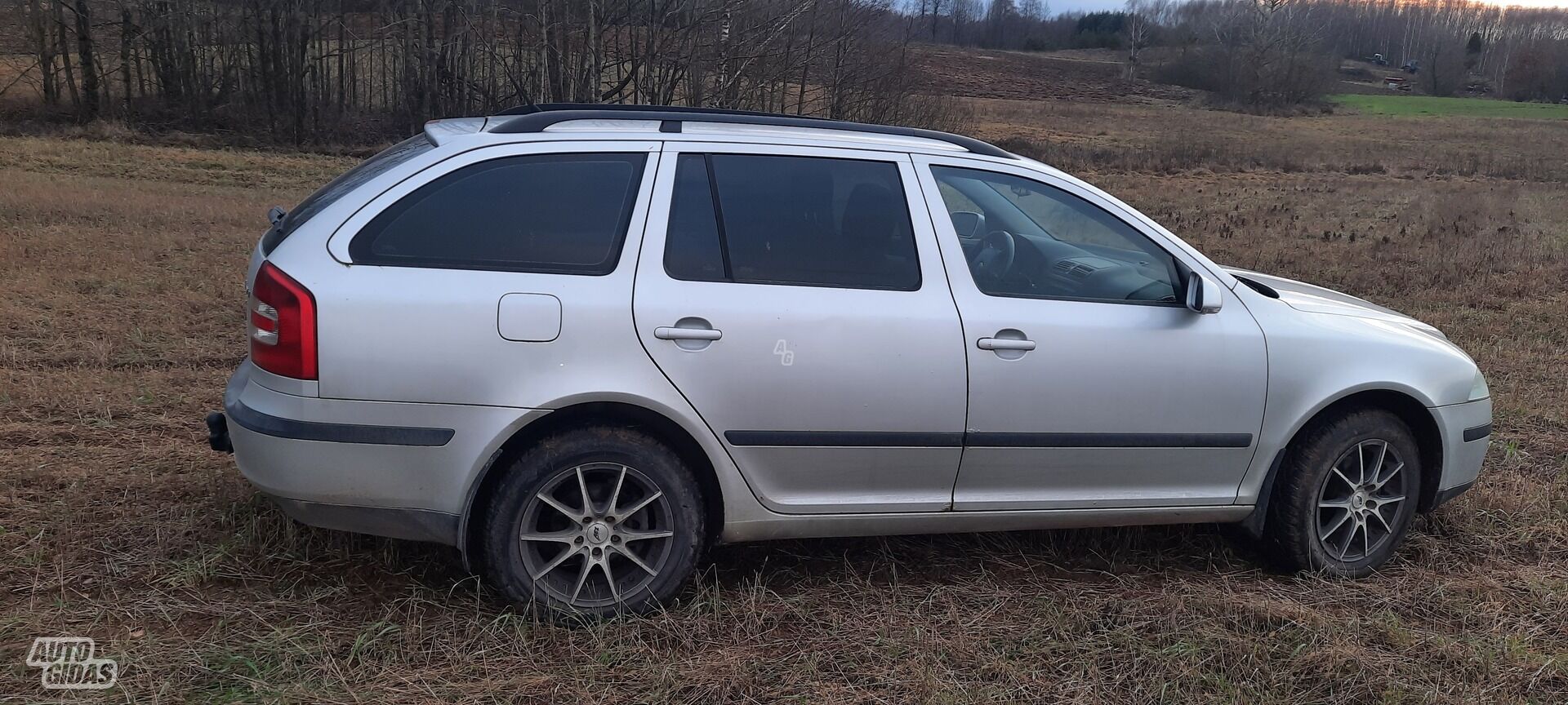 Skoda Octavia 2005 г Внедорожник / Кроссовер