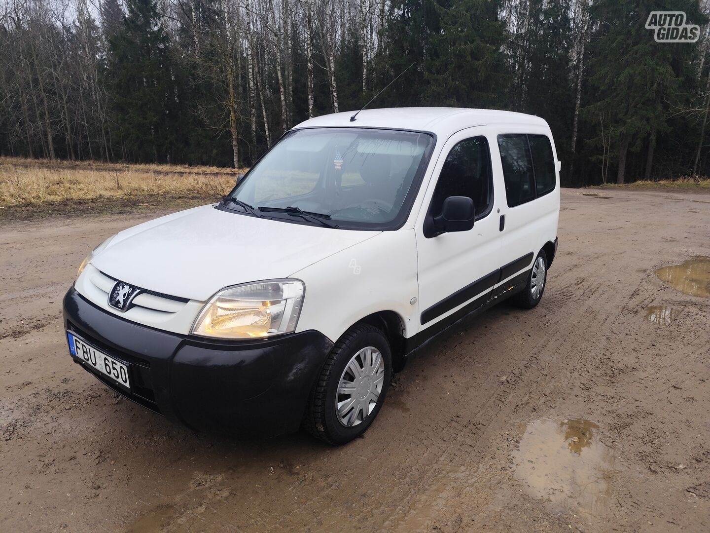 Peugeot Partner 2007 m Vienatūris