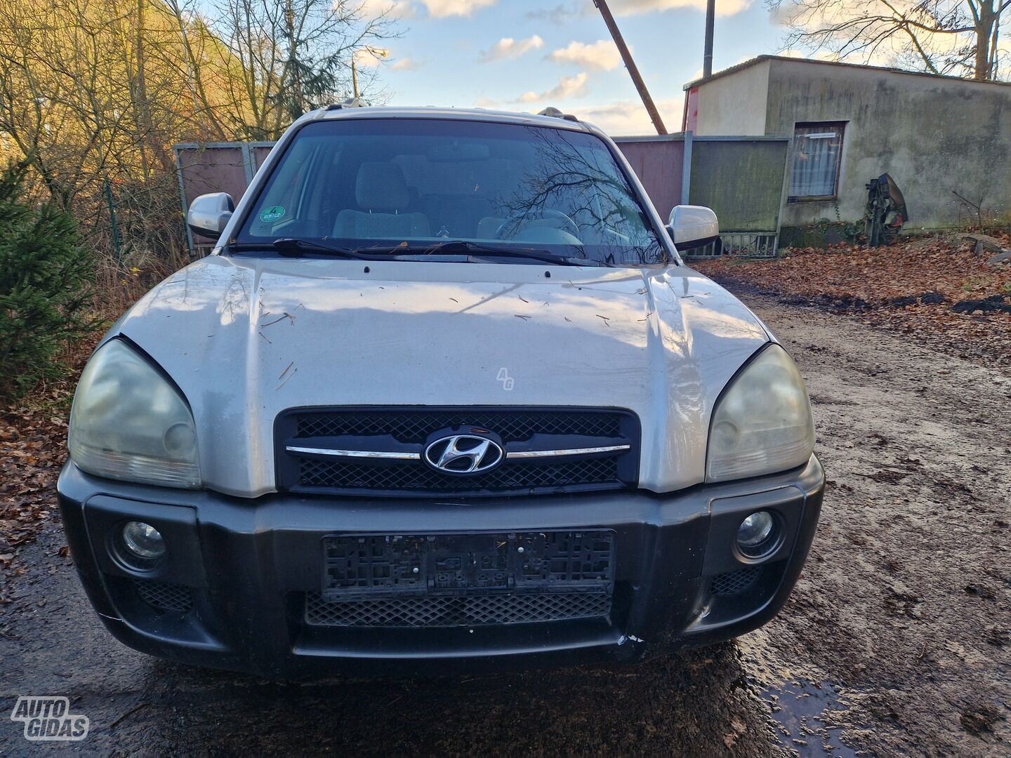 Hyundai Tucson 2006 г Внедорожник / Кроссовер