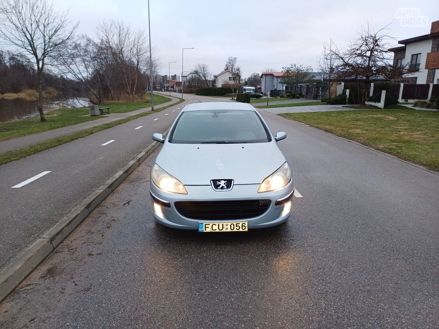 Peugeot 407 2005 y Sedan