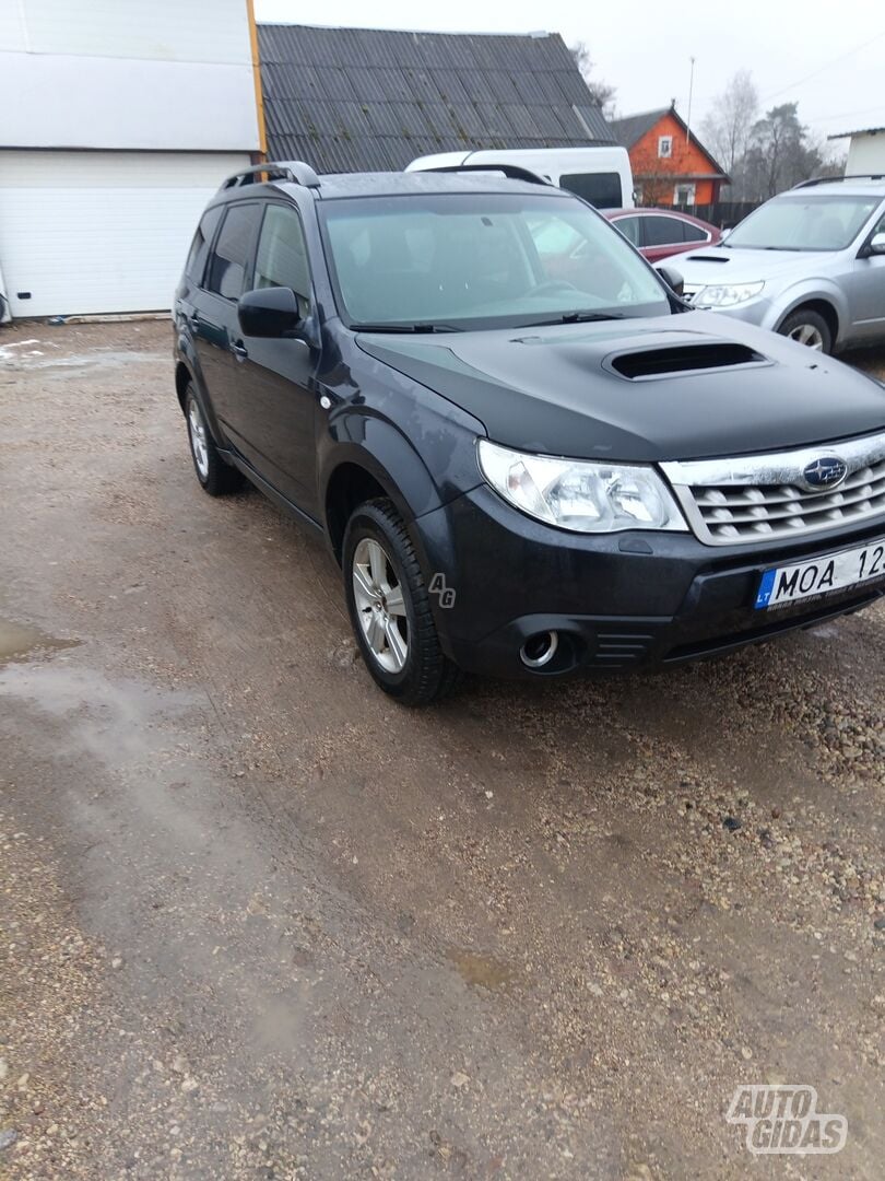 Subaru Forester 2011 m Visureigis / Krosoveris