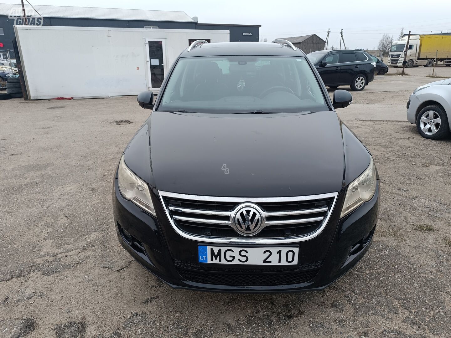 Volkswagen Tiguan 2008 г Внедорожник / Кроссовер