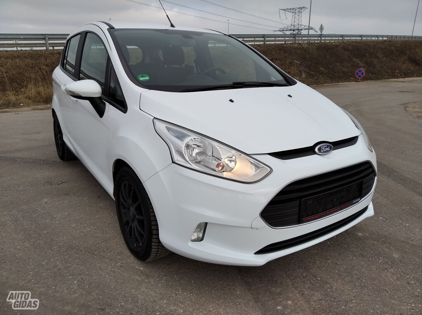 Ford B-MAX 2016 m Vienatūris