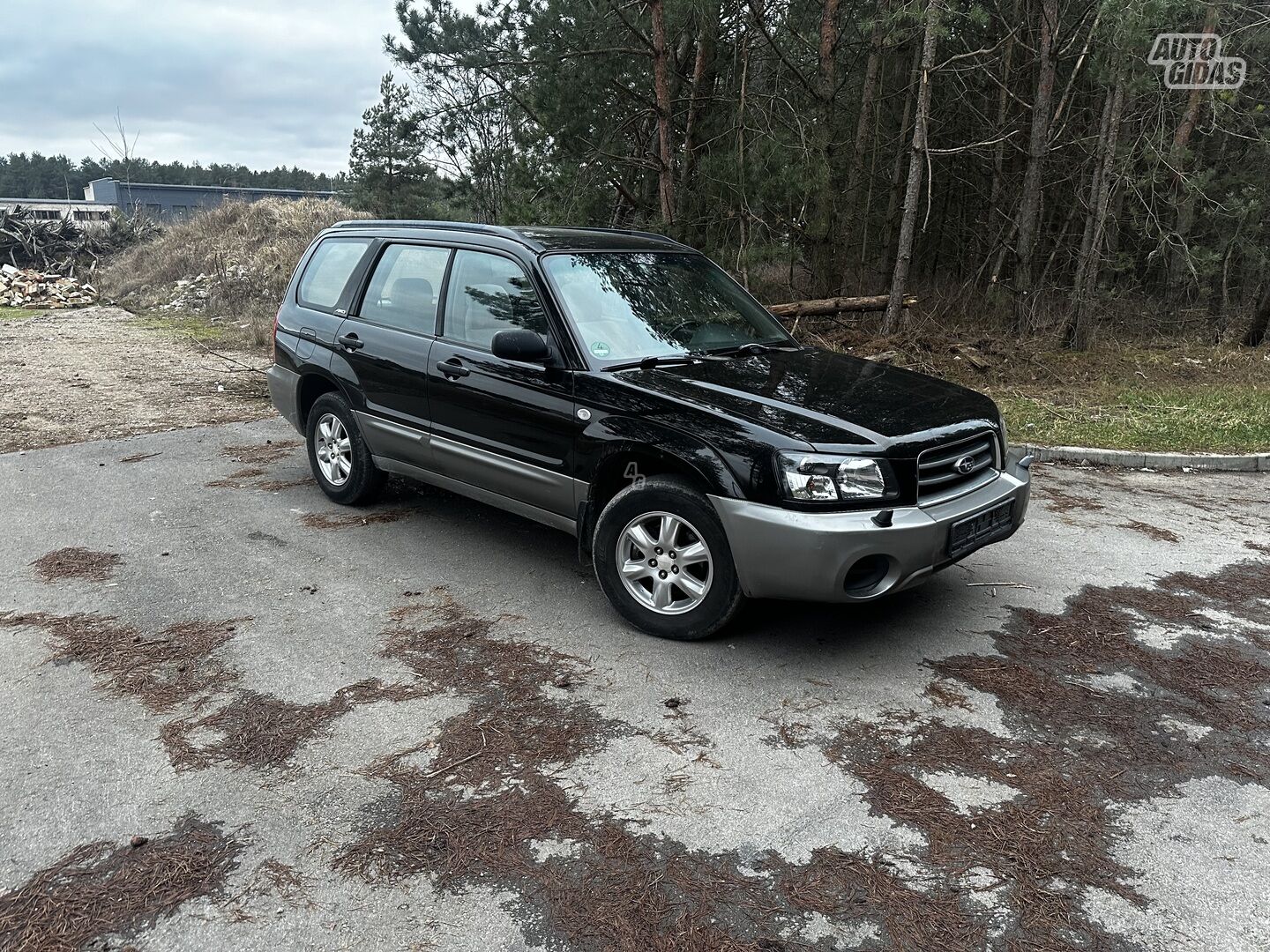 Subaru Forester 2003 m Visureigis / Krosoveris