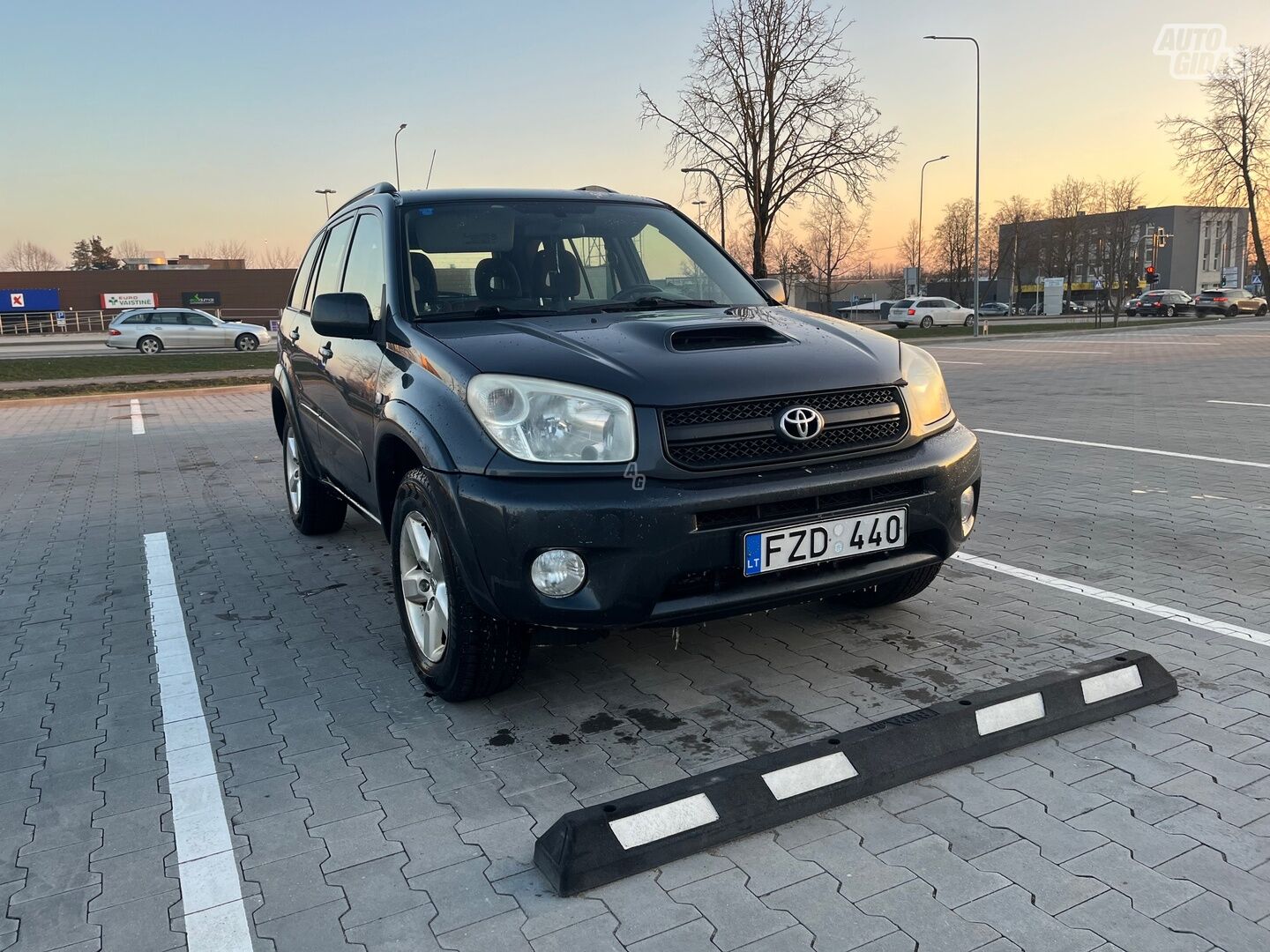 Toyota RAV4 4x4 2005 г