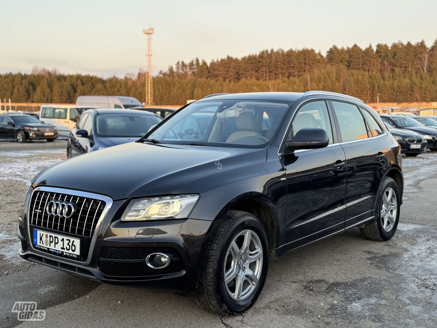 Audi Q5 2010 г Внедорожник / Кроссовер