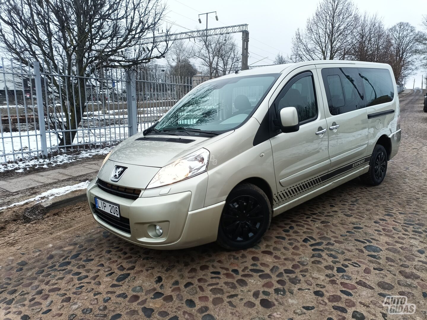 Peugeot Expert 2011 y Minibus