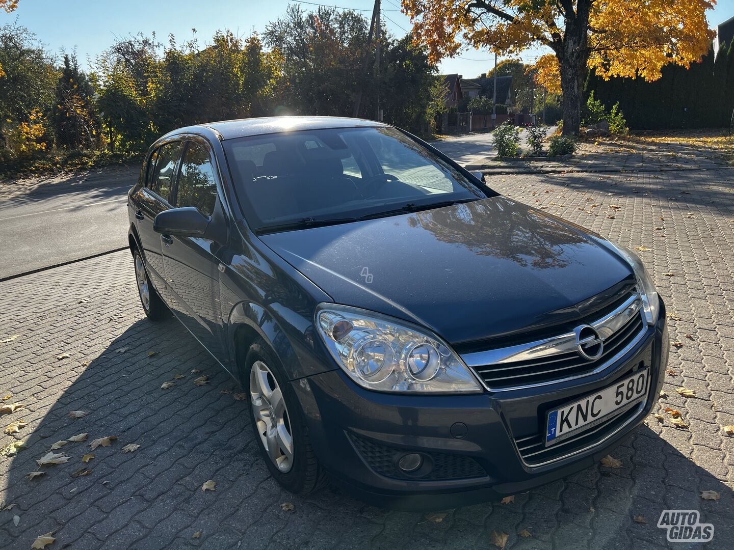 Opel Astra 2007 г Хэтчбек