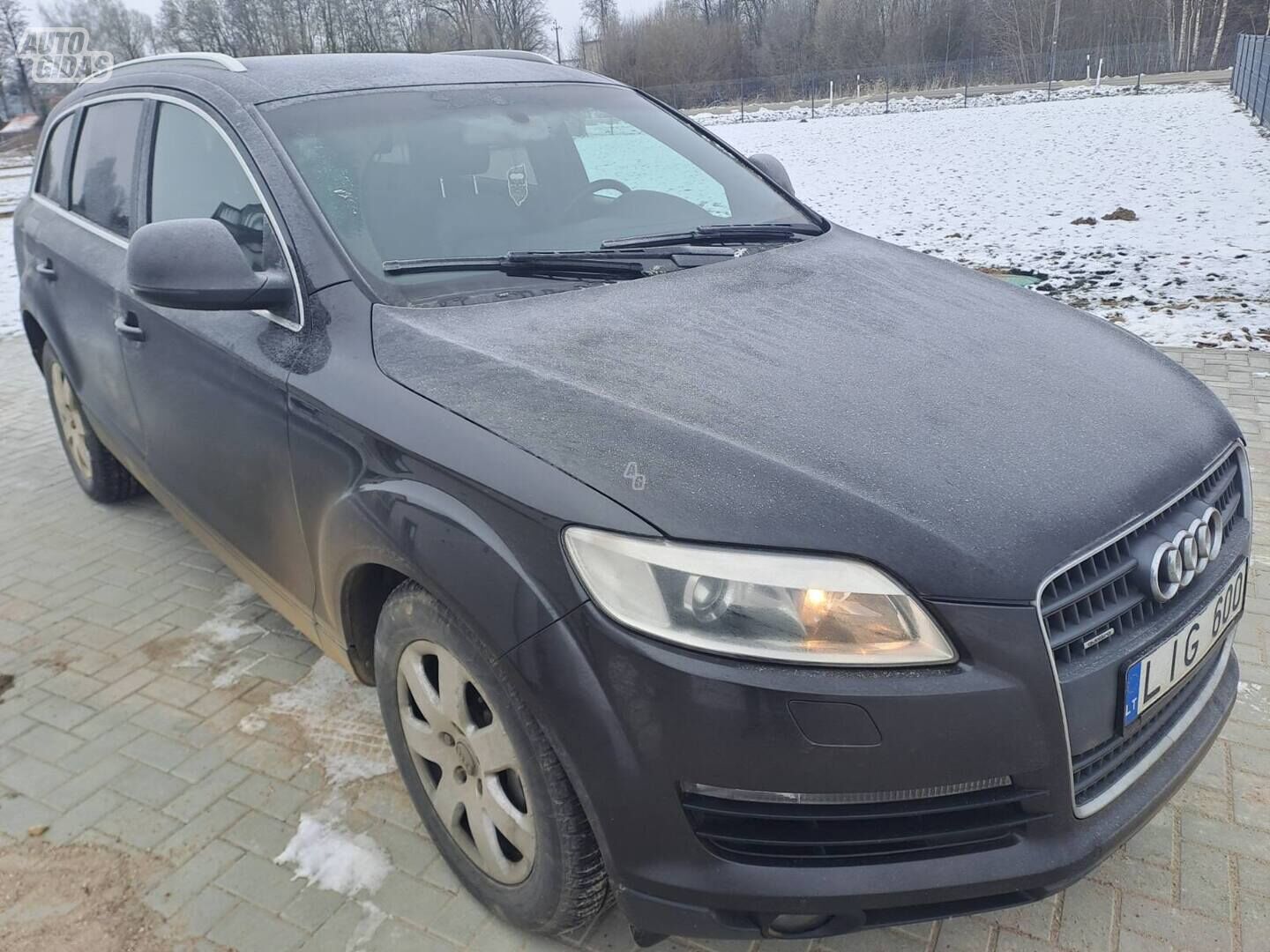 Audi Q7 2006 y Off-road / Crossover