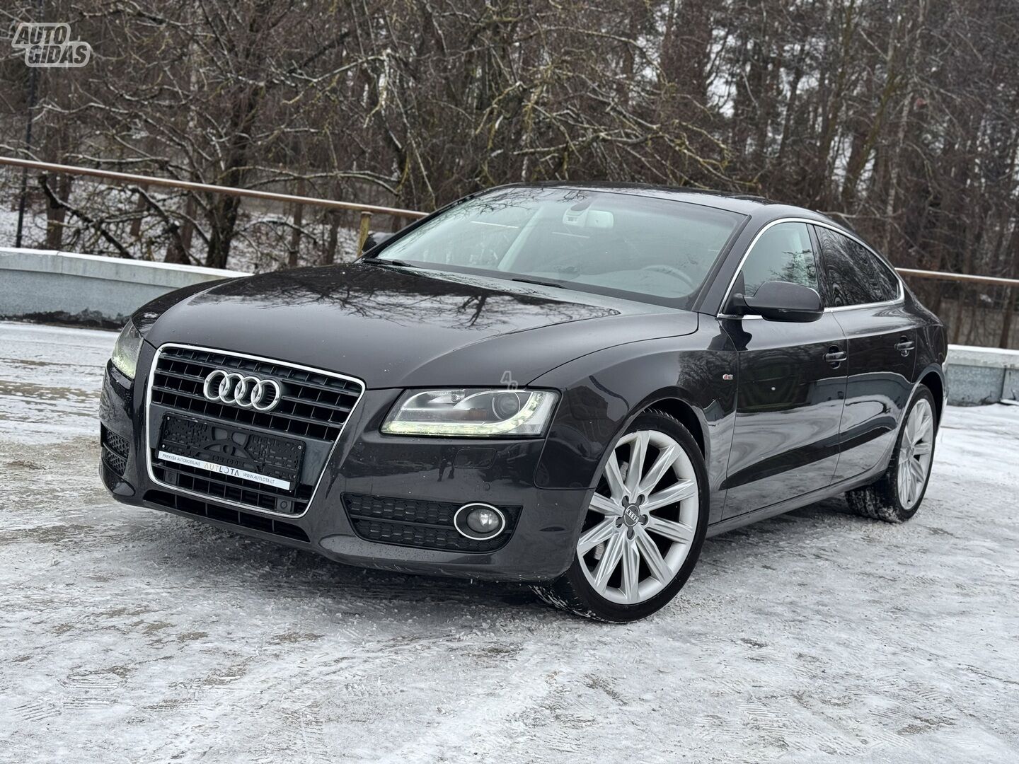 Audi A5 Sportback 2010 г Хэтчбек