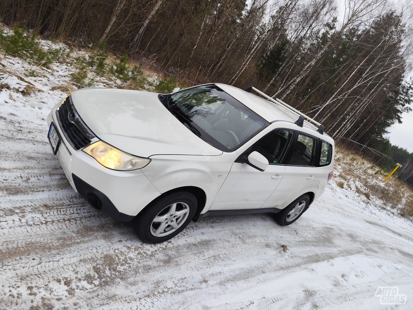 Subaru Forester 2009 y Off-road / Crossover