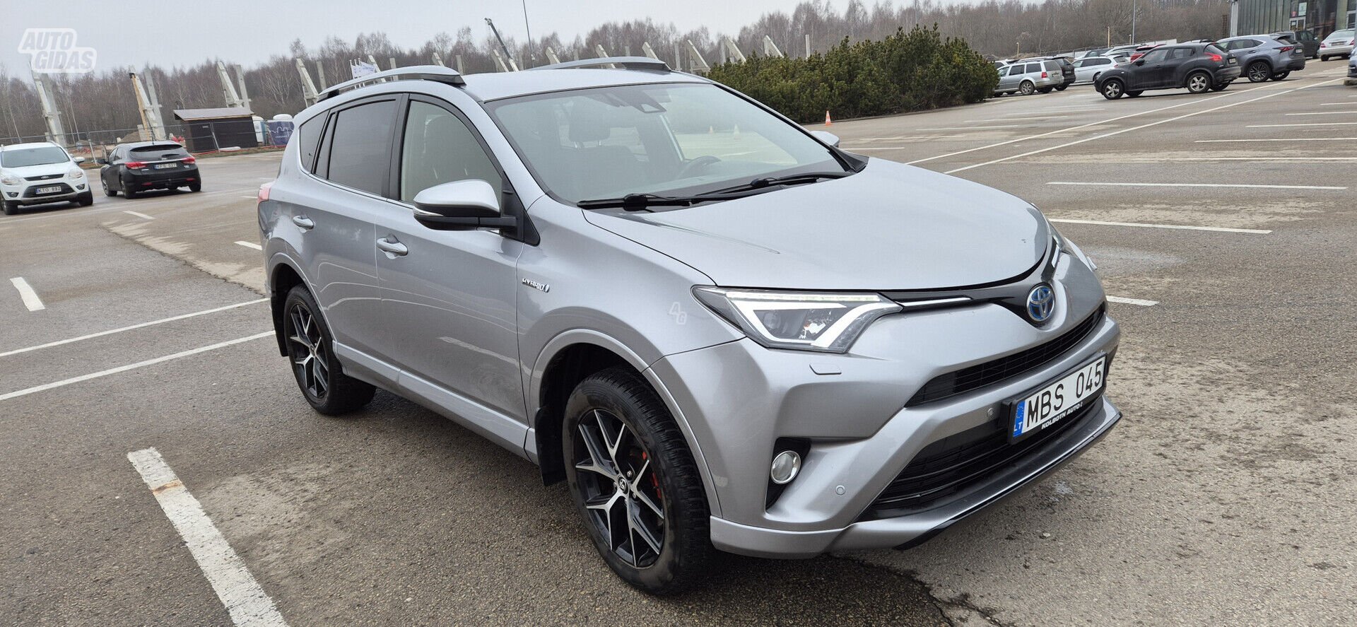 Toyota RAV4 2016 m Visureigis / Krosoveris