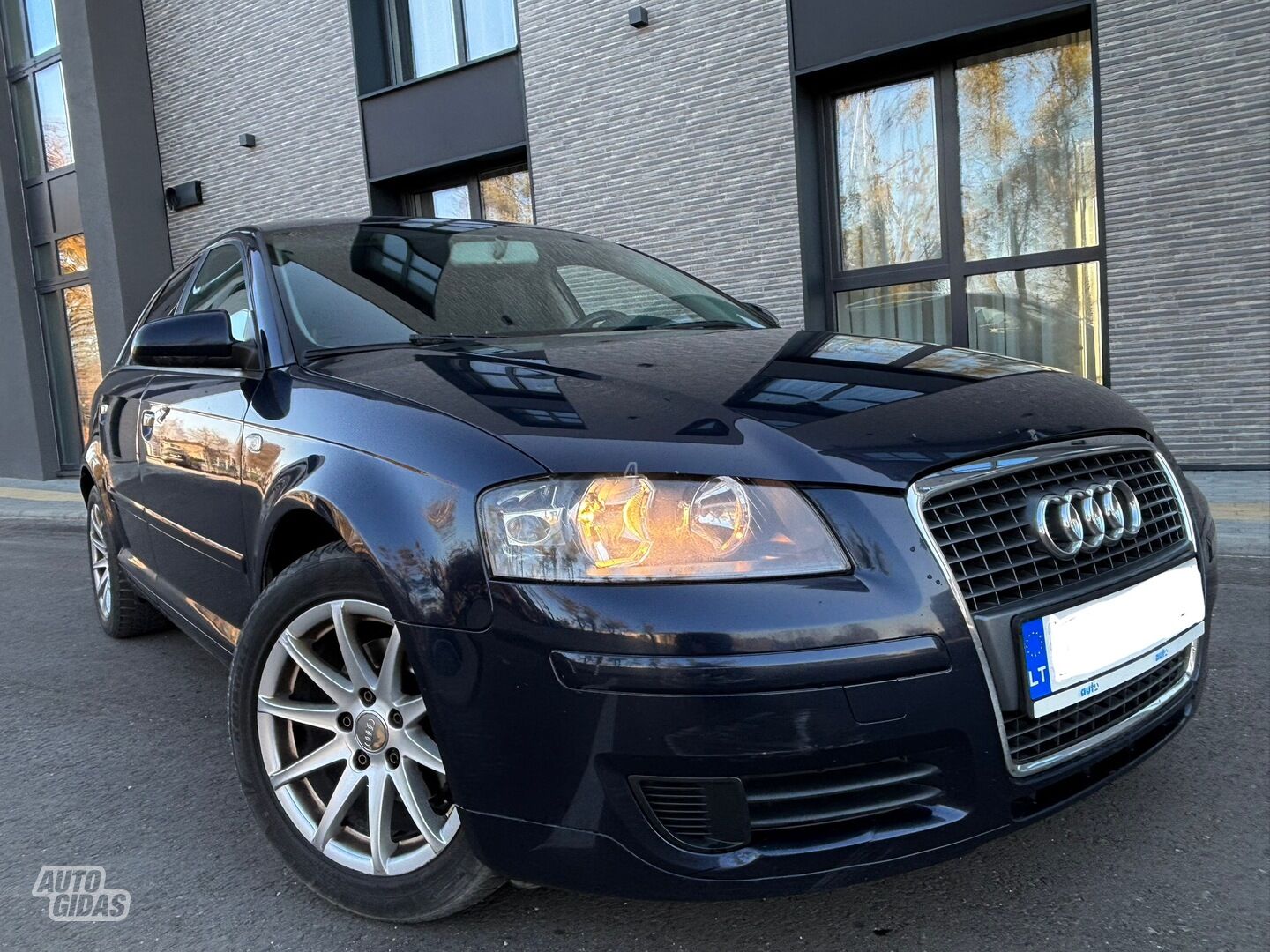 Audi A3 2006 m Hečbekas